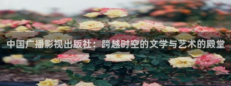 青柠檬影视在线观看：中国广播影视出版社：跨越时空的文学与艺术的殿堂