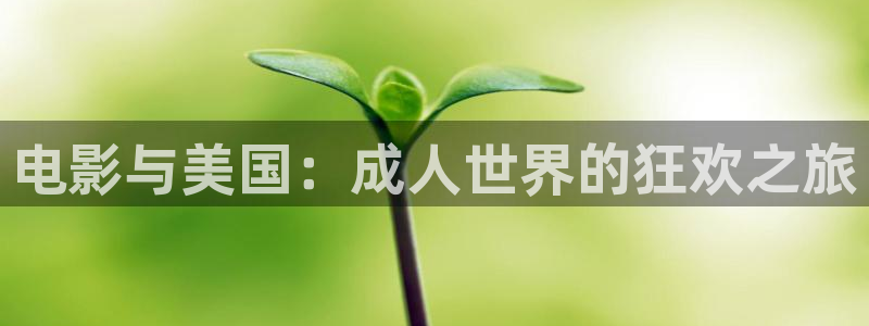 青柠影院免费观看在线高清：电影与美国：成人世界的狂欢之旅
