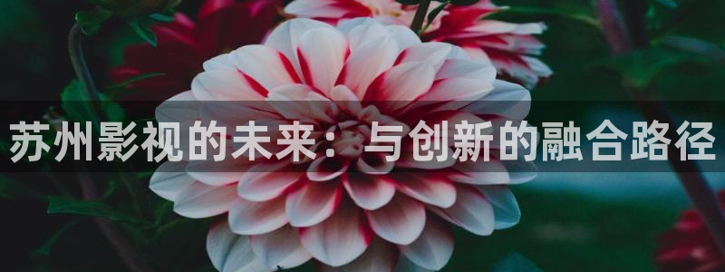 青柠电影在线：苏州影视的未来：与创新的融合路径