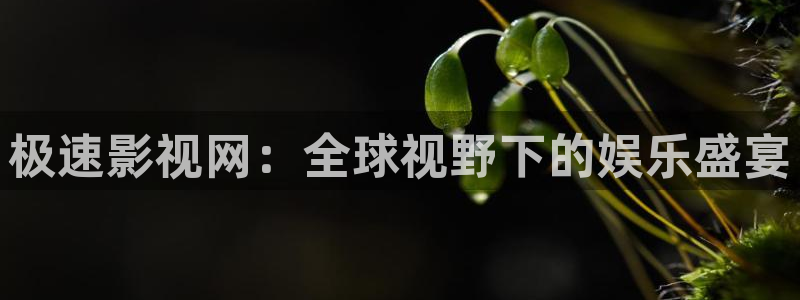 青柠影院在线观看免费高清：极速影视网：全球视野下的娱乐盛宴