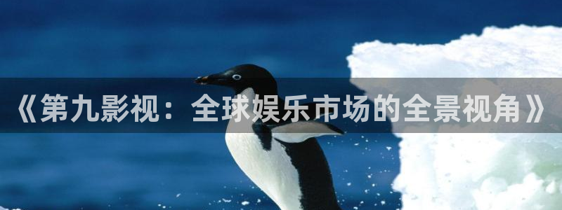 ok电影院青柠：《第九影视：全球娱乐市场的全景视角》
