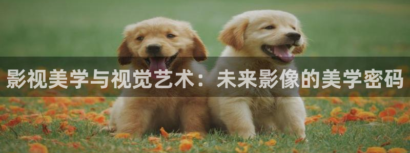 青柠影院免费：影视美学与视觉艺术：未来影像的美学密码