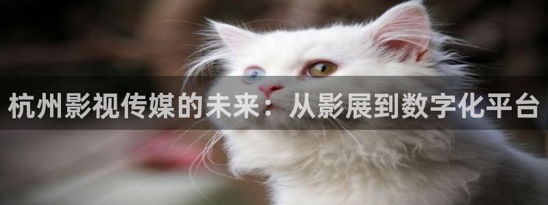 在线观看青柠影院：杭州影视传媒的未来：从影展到数字化平台