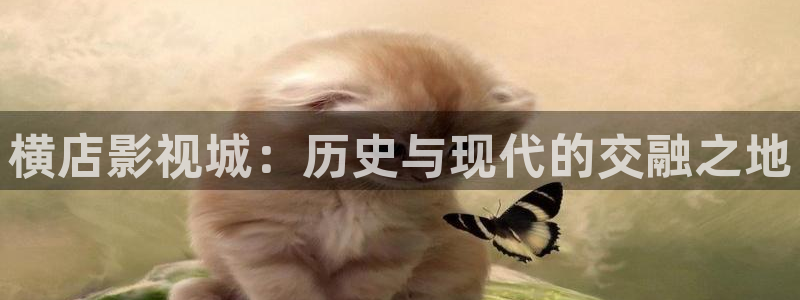 青柠影视免费观看：横店影视城：历史与现代的交融之地